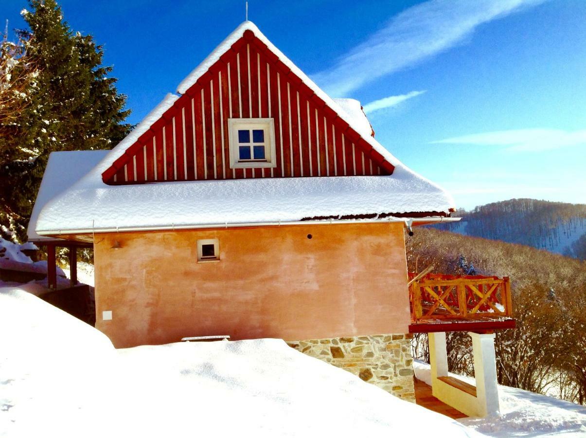 Kopanicky Dvor Guest House Hodrusa ภายนอก รูปภาพ
