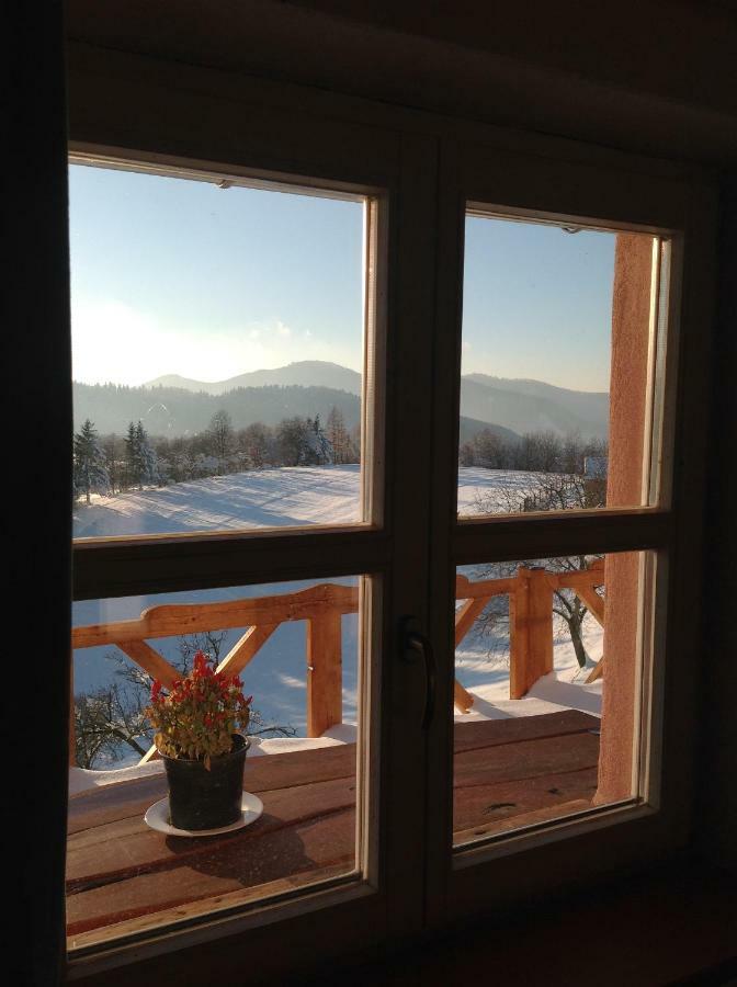 Kopanicky Dvor Guest House Hodrusa ภายนอก รูปภาพ
