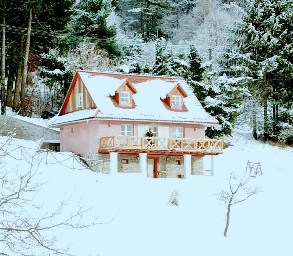 Kopanicky Dvor Guest House Hodrusa ภายนอก รูปภาพ