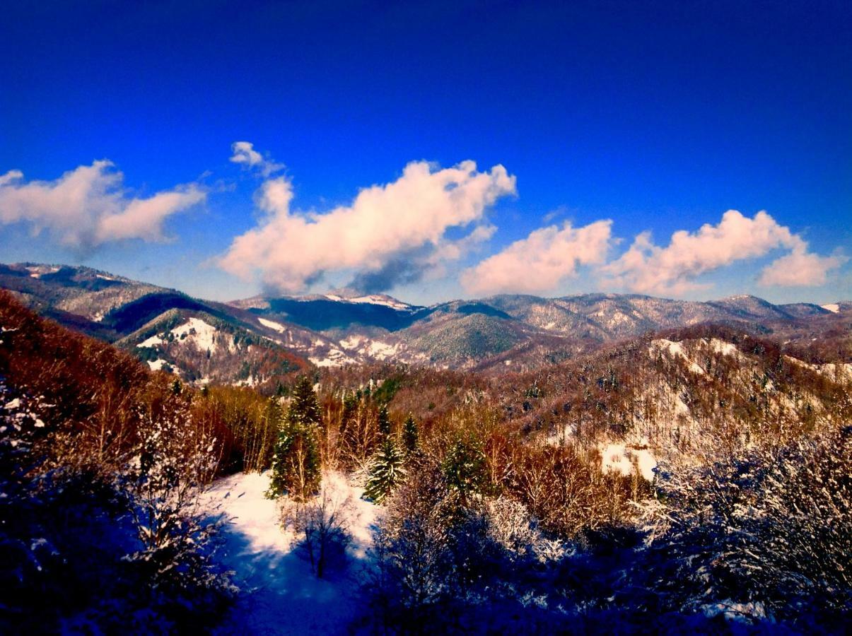 Kopanicky Dvor Guest House Hodrusa ภายนอก รูปภาพ