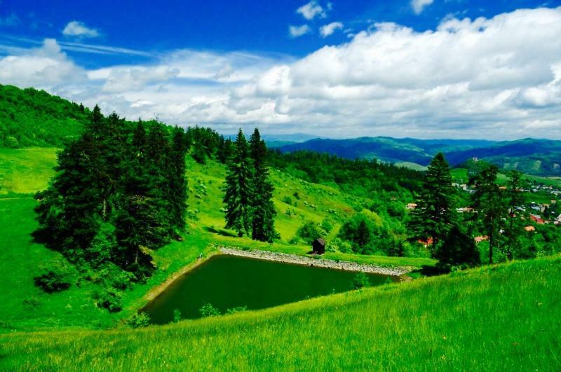 Kopanicky Dvor Guest House Hodrusa ภายนอก รูปภาพ