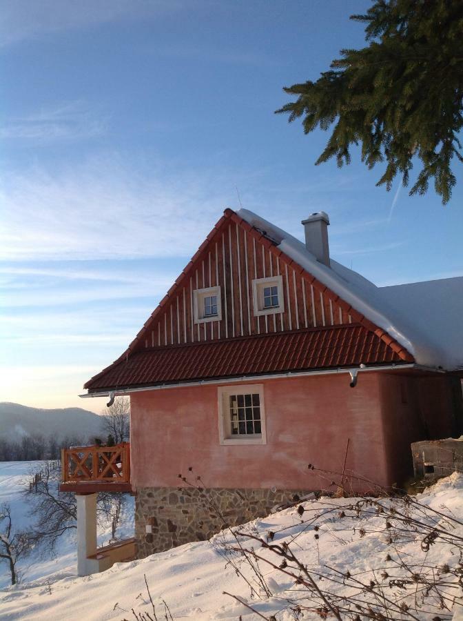 Kopanicky Dvor Guest House Hodrusa ภายนอก รูปภาพ