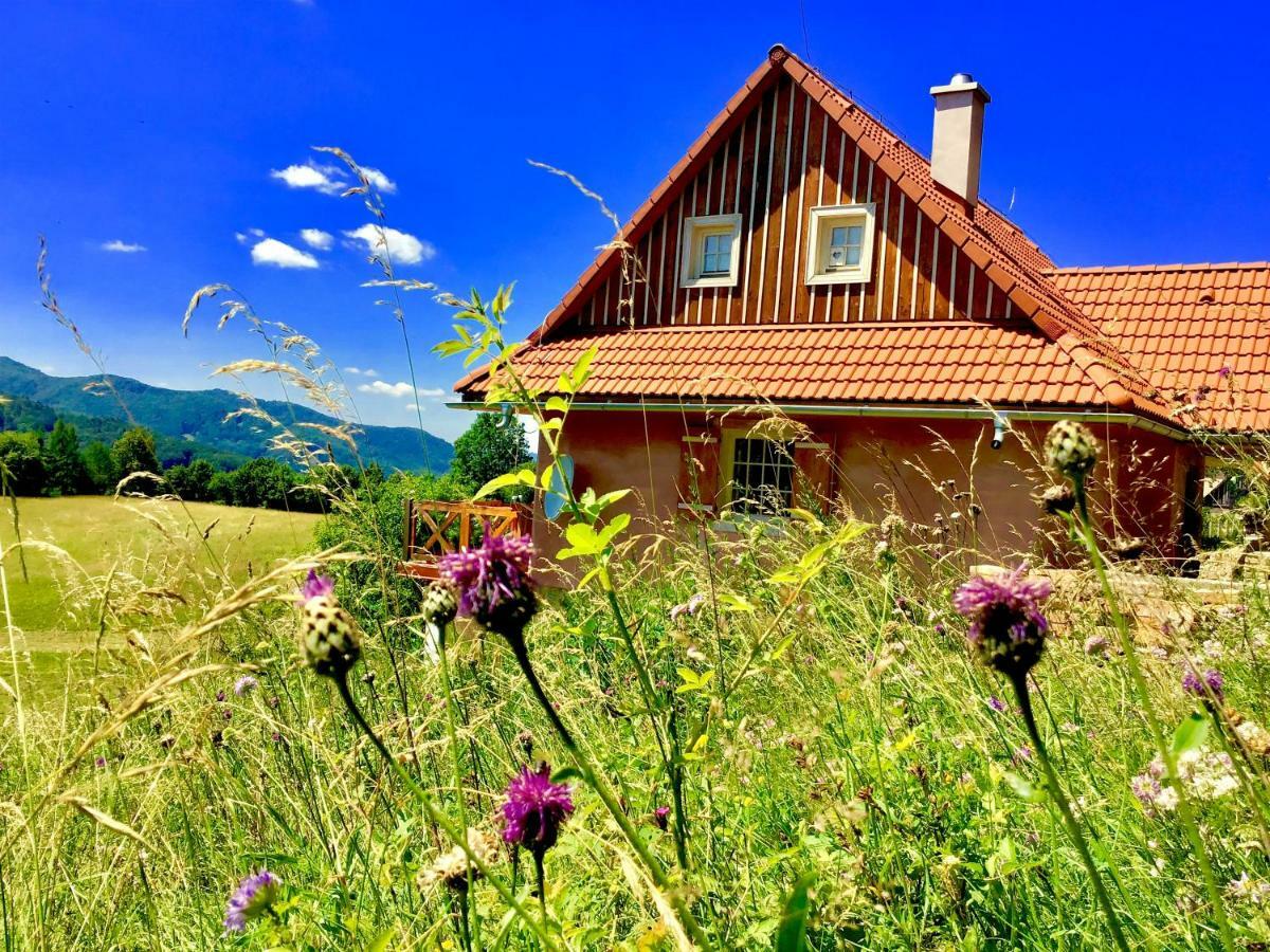Kopanicky Dvor Guest House Hodrusa ภายนอก รูปภาพ