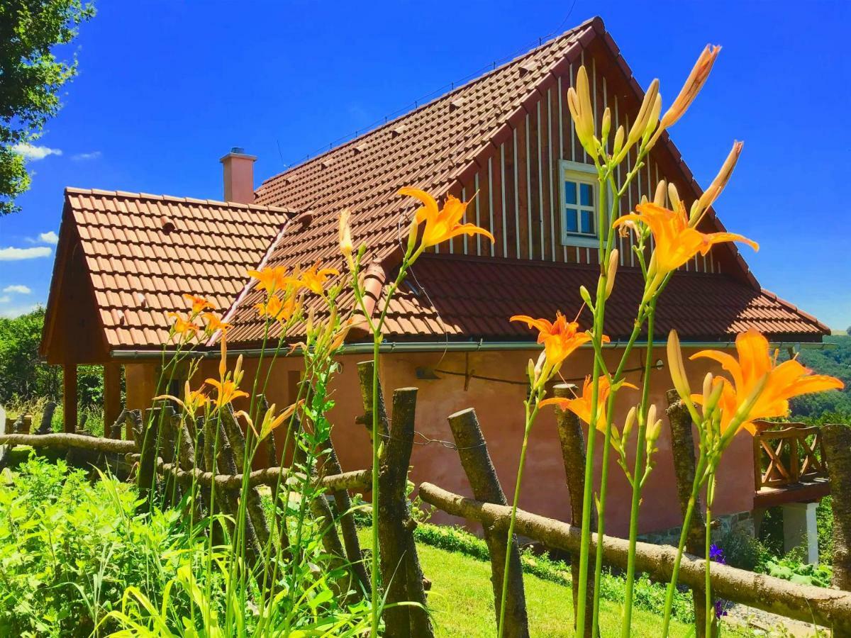 Kopanicky Dvor Guest House Hodrusa ภายนอก รูปภาพ