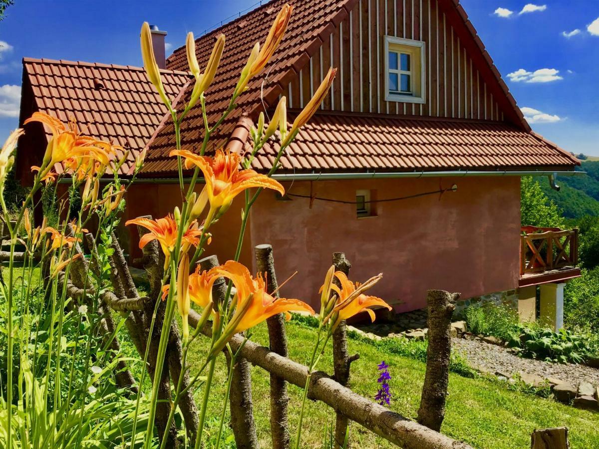Kopanicky Dvor Guest House Hodrusa ภายนอก รูปภาพ