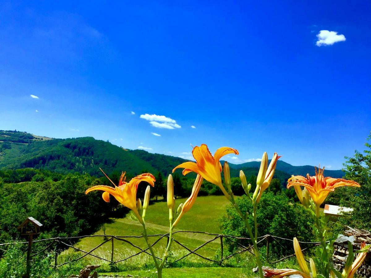 Kopanicky Dvor Guest House Hodrusa ภายนอก รูปภาพ